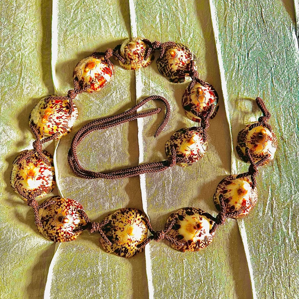 Cowrie Shell Belt - image 2
